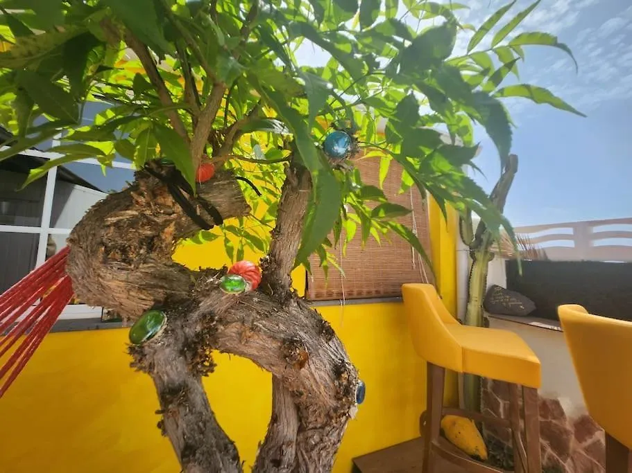 Apartment Shangri-La 2 Caleta De Fuste Spain